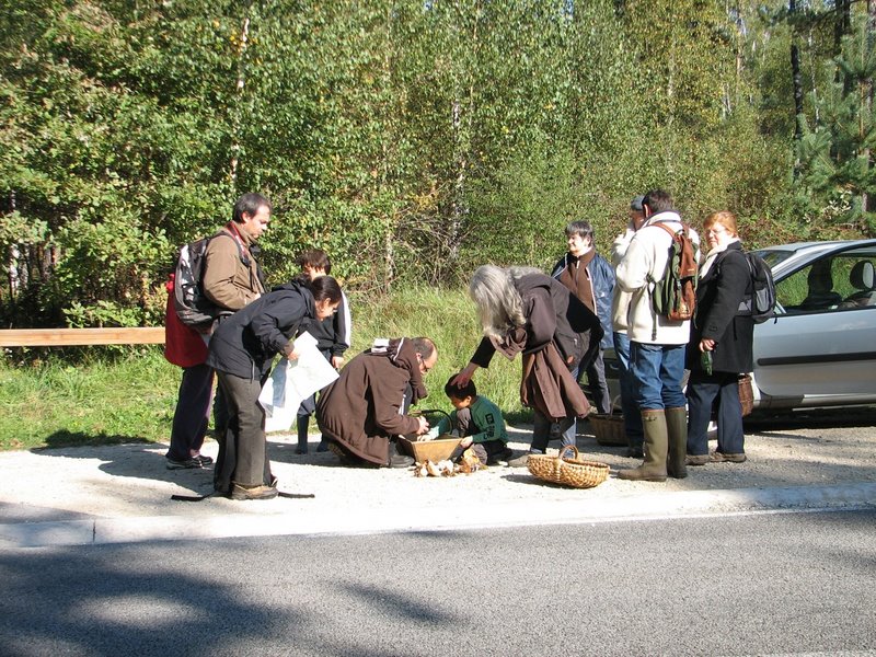 Mares au vinaigre 26